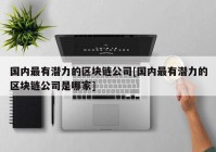 国内最有潜力的区块链公司[国内最有潜力的区块链公司是哪家]