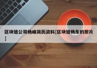 区块链公司杨峰简历资料[区块链杨东的照片]